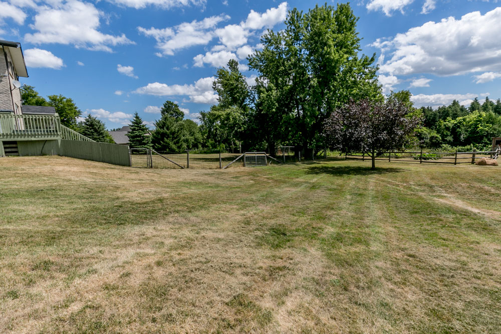 The Ruff House Kennel | 4160 10th Side Rd RR#4, Cookstown, ON L0L 1L0, Canada | Phone: (416) 886-3418