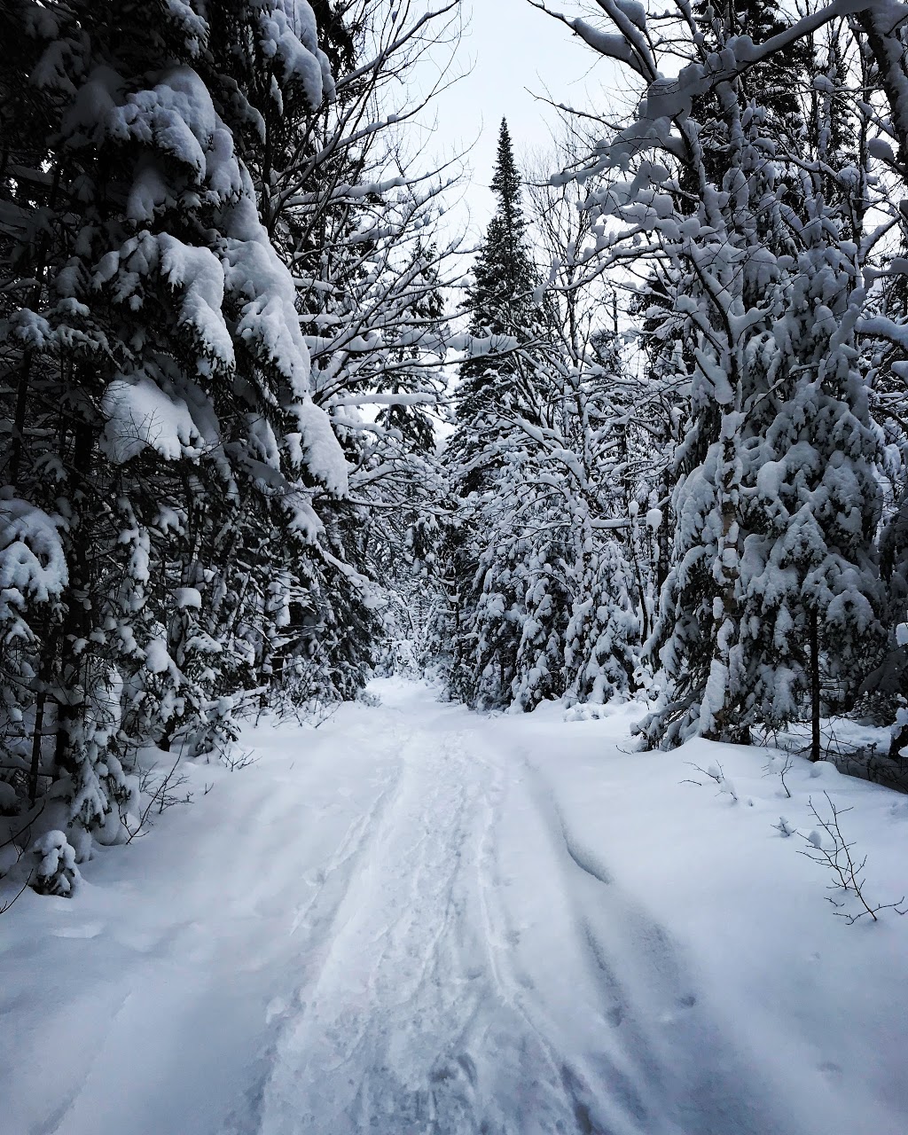 Mont-Tremblant - Secteur Pimbina National Park | 2954, Route 125 Nord, Saint-Donat, QC J0T 2C0, Canada | Phone: (819) 424-2954