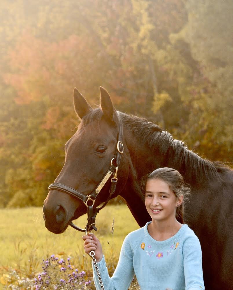 Foxwood Farm Equestrian Centre | 2042 Line 13, Gilford, ON L0L 1R0, Canada | Phone: (905) 775-0155
