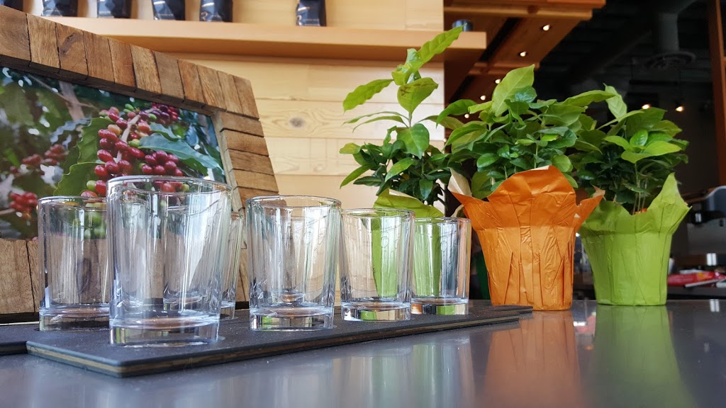 Starbucks | 3703 32 St, Vernon, BC V1T 9X6, Canada | Phone: (250) 503-2136