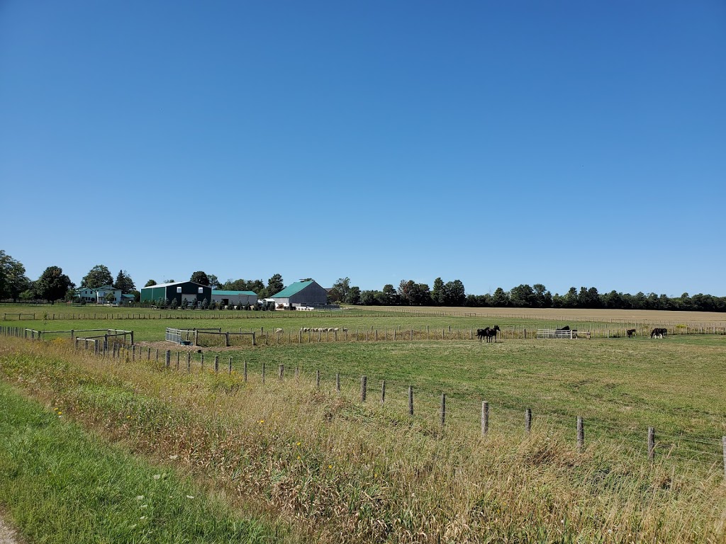 Southgate Metals | Grey Rd 9, Southgate, ON N0C, Canada | Phone: (519) 897-1293