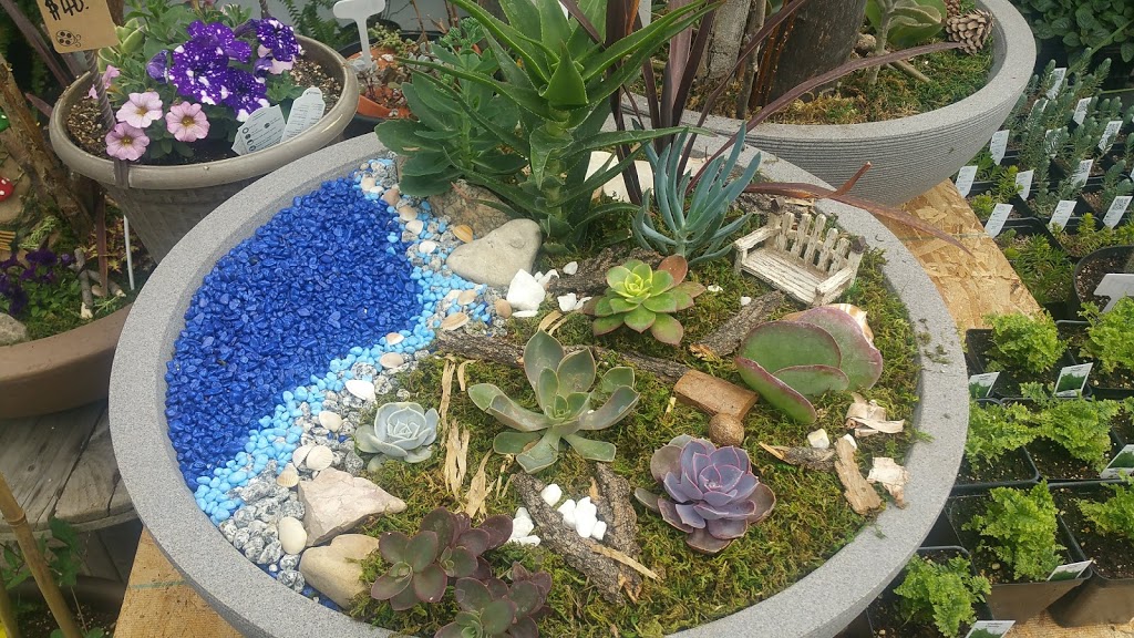 Doorns Greenhouse | NE-1-16-20 W2 (8km South of Regina on Highway, Sherwood No. 159, SK S0G 4G0, Canada | Phone: (306) 586-5791
