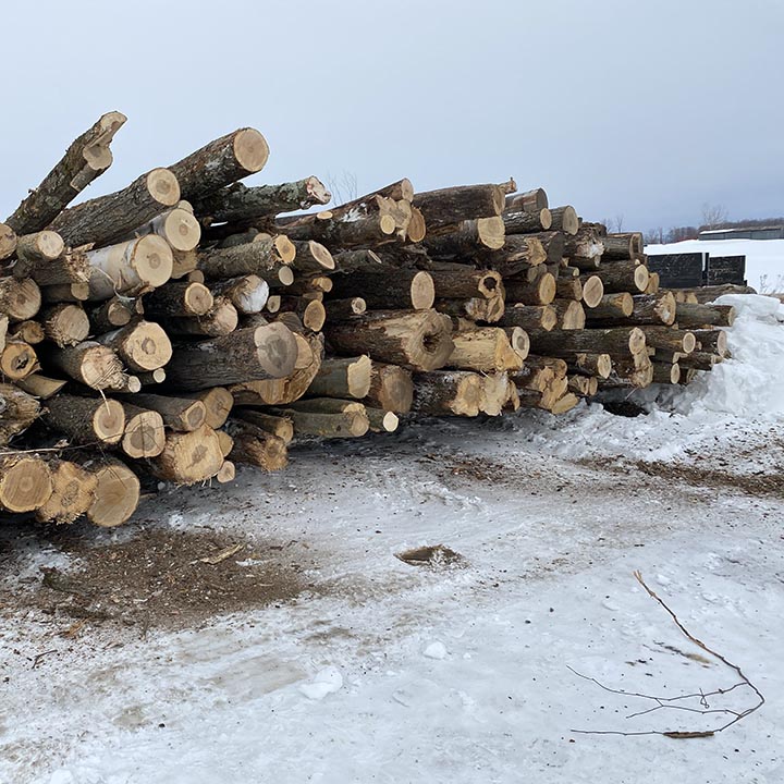 Bois de foyer & Scierie MB | 173 Mnt Renaud, Saint-Eustache, QC J7R 4K3, Canada | Phone: (514) 945-2447