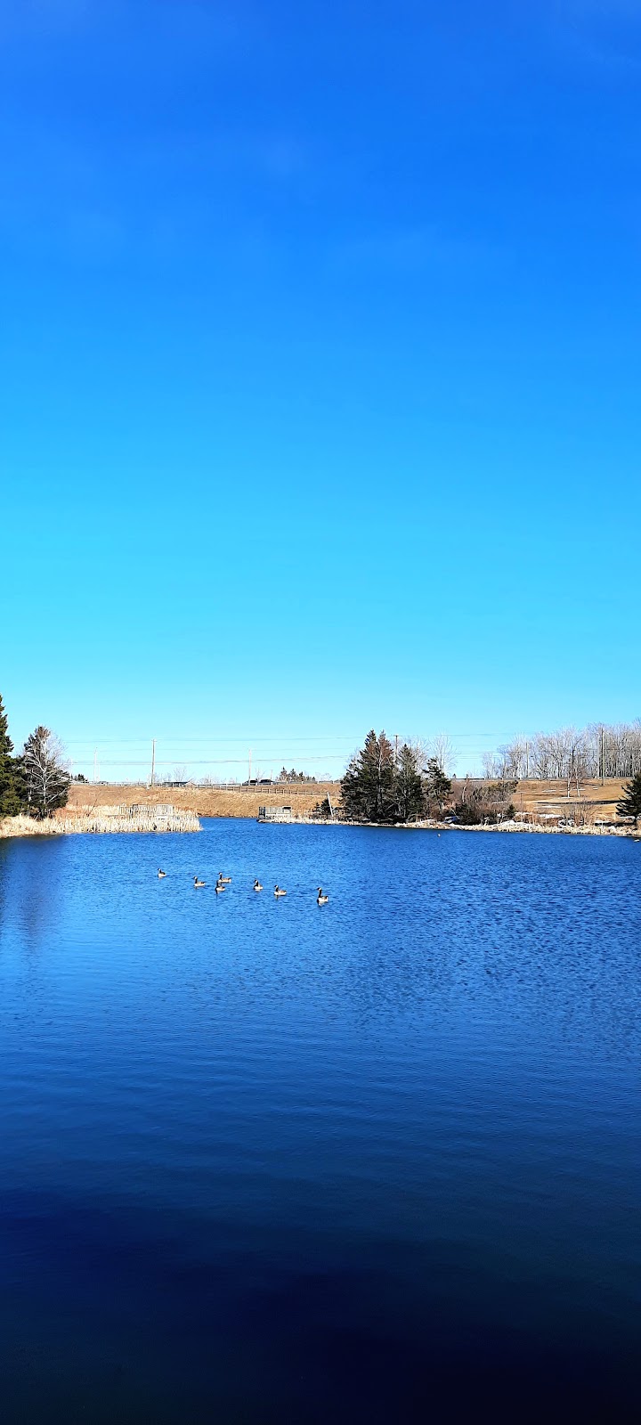 Wrights Creek Watershed Natural Area | 2 Oakland Dr, Charlottetown, PE C1C 1M9, Canada | Phone: (902) 628-1176