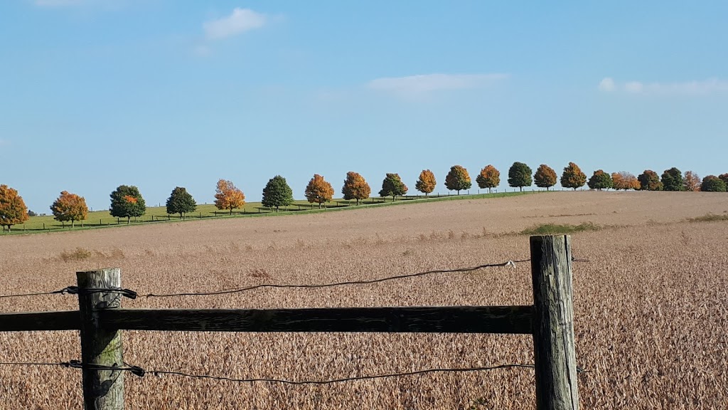 Hanover Hill Equine Inc | 1036 Scugog Line 4, Port Perry, ON L9L 1B5, Canada | Phone: (905) 985-0931