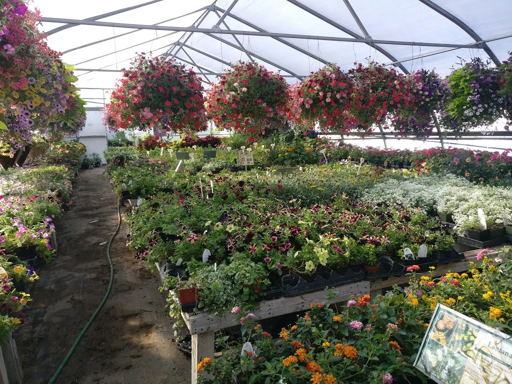 Sandhu Greenhouses | 9707 128 Ave, Osoyoos, BC V0H 1V2, Canada | Phone: (250) 689-0234