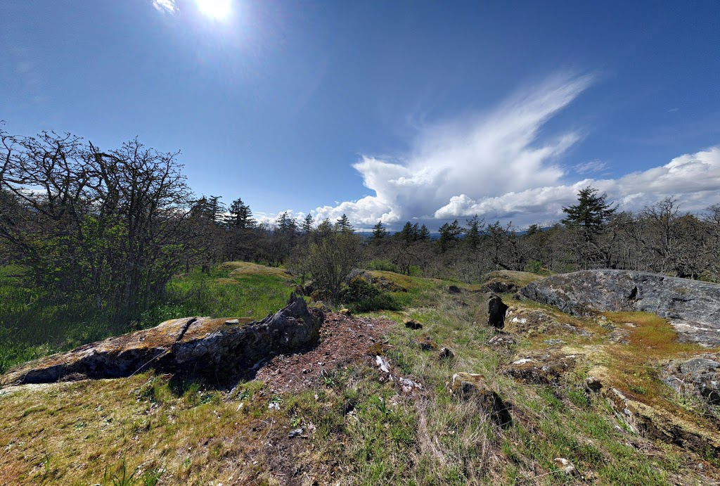 Swan Lake Christmas Hill Nature Sanctuary | 3873 Swan Lake Rd, Victoria, BC V8X 3W1, Canada | Phone: (250) 479-0211