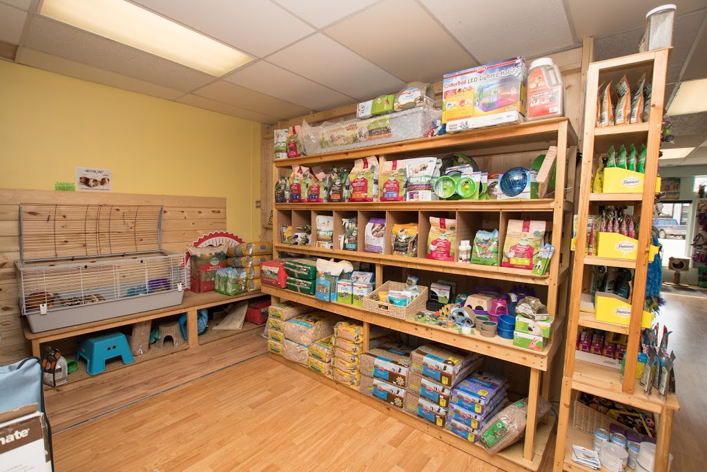 Beachs Pet Place | 120 Broadway St, Fort QuAppelle, SK S0G 1S0, Canada | Phone: (306) 332-6603