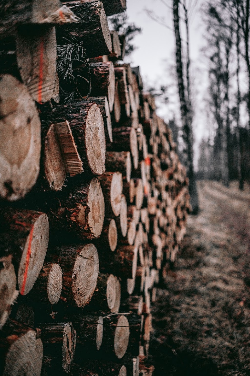 Island Lumber Co. | 646 Wallace Pl, Ladysmith, BC V9G 1P1, Canada | Phone: (855) 925-4411
