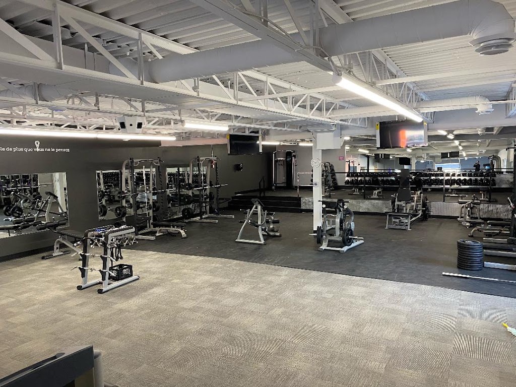 Anytime Fitness (ChelseaQC) | 7 Chem. Alonzo-Wright, Chelsea, QC J9B 1L4, Canada | Phone: (819) 595-1919