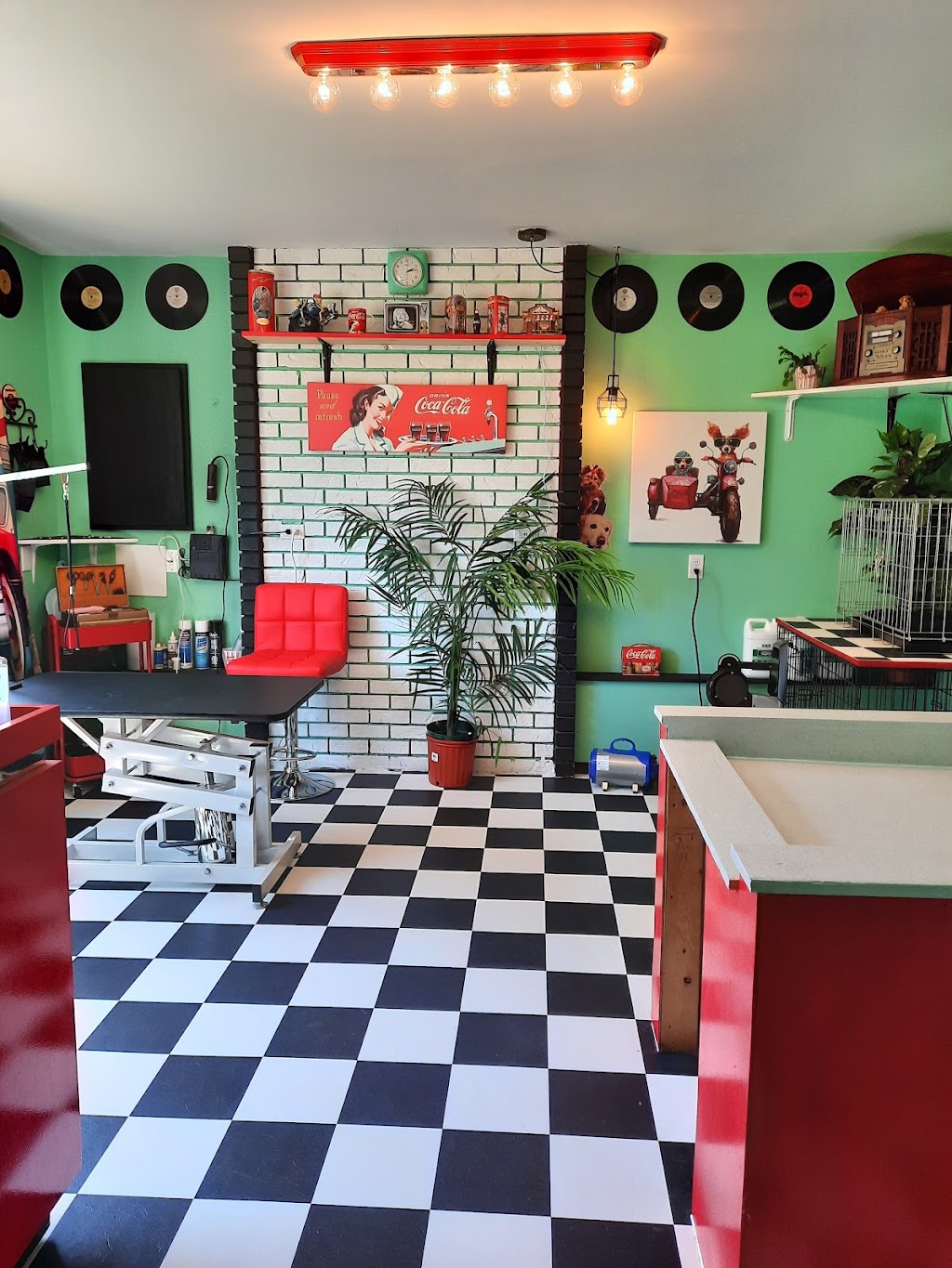 Soda-Pups Grooming | 6930 Grant Rd W, Sooke, BC V9Z 0M7, Canada | Phone: (778) 425-2812