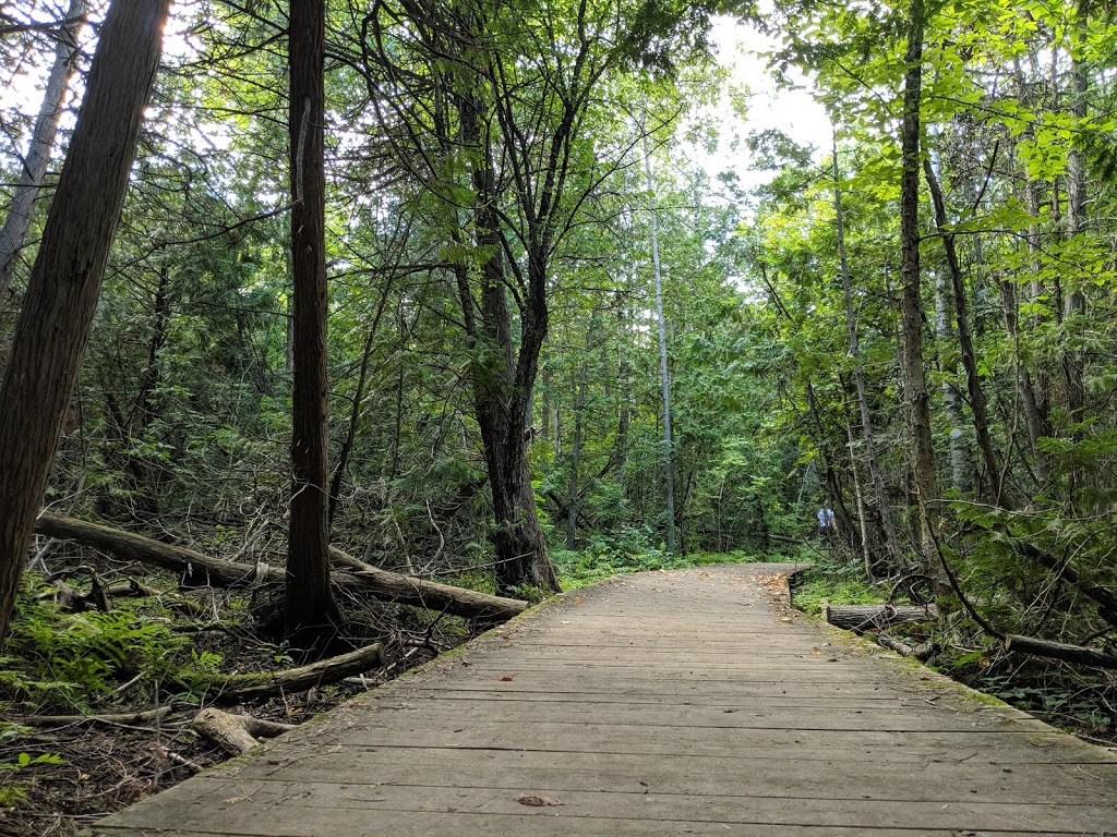 Trent University Nature Areas | 801 University Rd, Peterborough, ON K9J 6Y1, Canada | Phone: (705) 748-1011