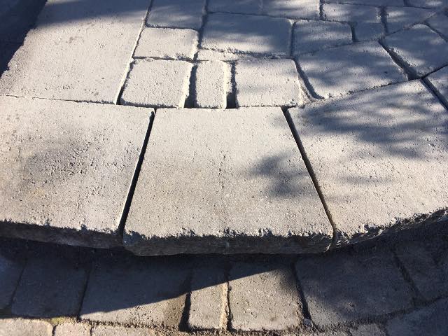 Brighton Lawn and Garden services | 96 Main St, Brighton, ON K0K 1H0, Canada | Phone: (647) 297-4278