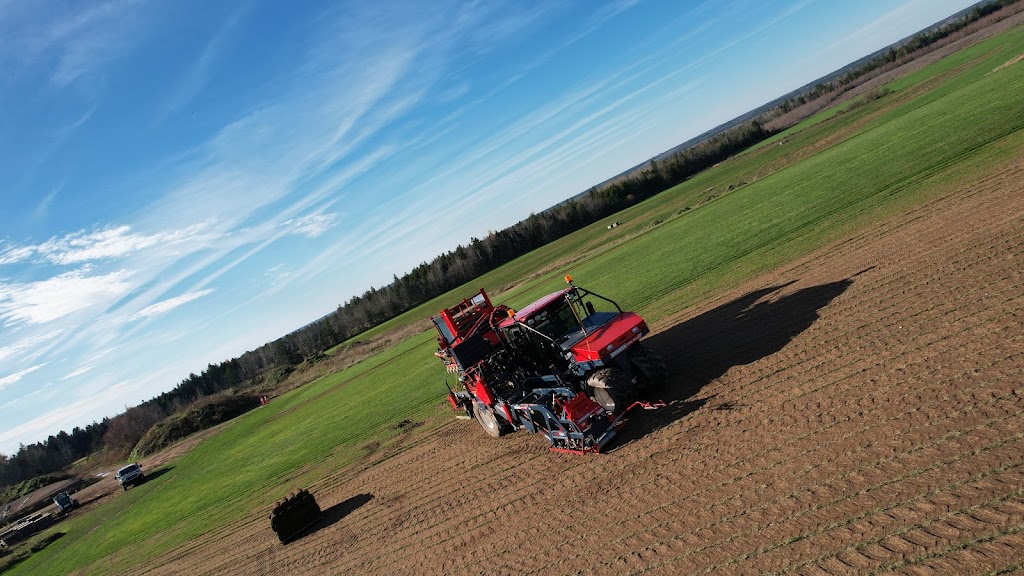 East Coast Turf Ltd. | 537 Charles Lutes Rd, Lutes Mountain, NB E1G 2T5, Canada | Phone: (506) 855-1282