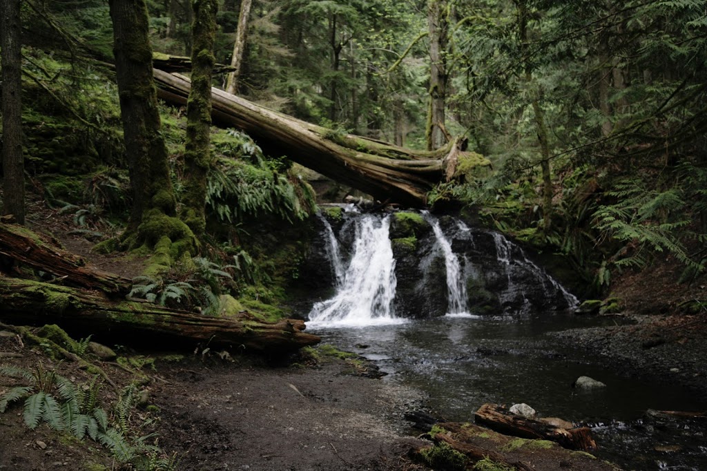 The Isla Vida Group | 845 Pinneo Rd, Eastsound, WA 98245, USA | Phone: (800) 277-1956