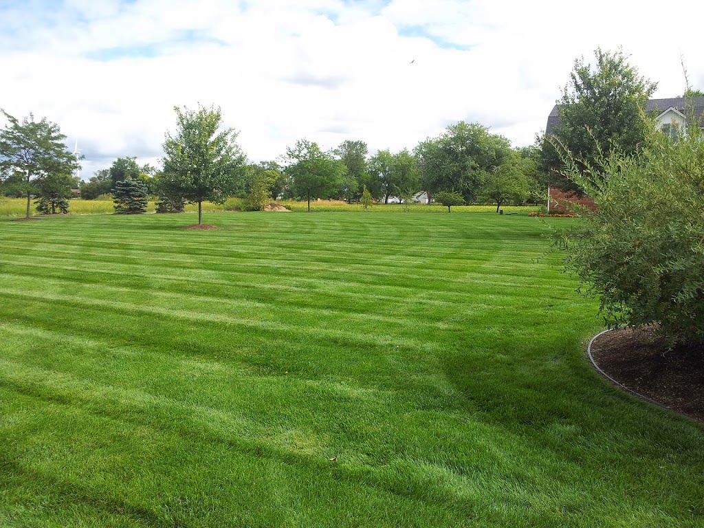 Turf Care Property Maintenance | 1643 McCain Side Rd, Kingsville, ON N9Y 2E4, Canada | Phone: (519) 791-9602