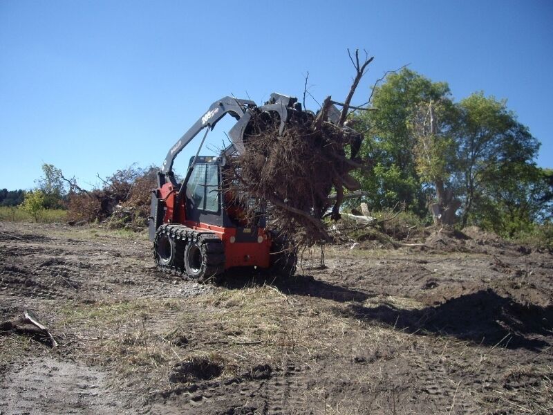 Turtle Crik Tree Farms | Simcoe St, Beaverton, ON L0K 1A0, Canada | Phone: (705) 426-1302