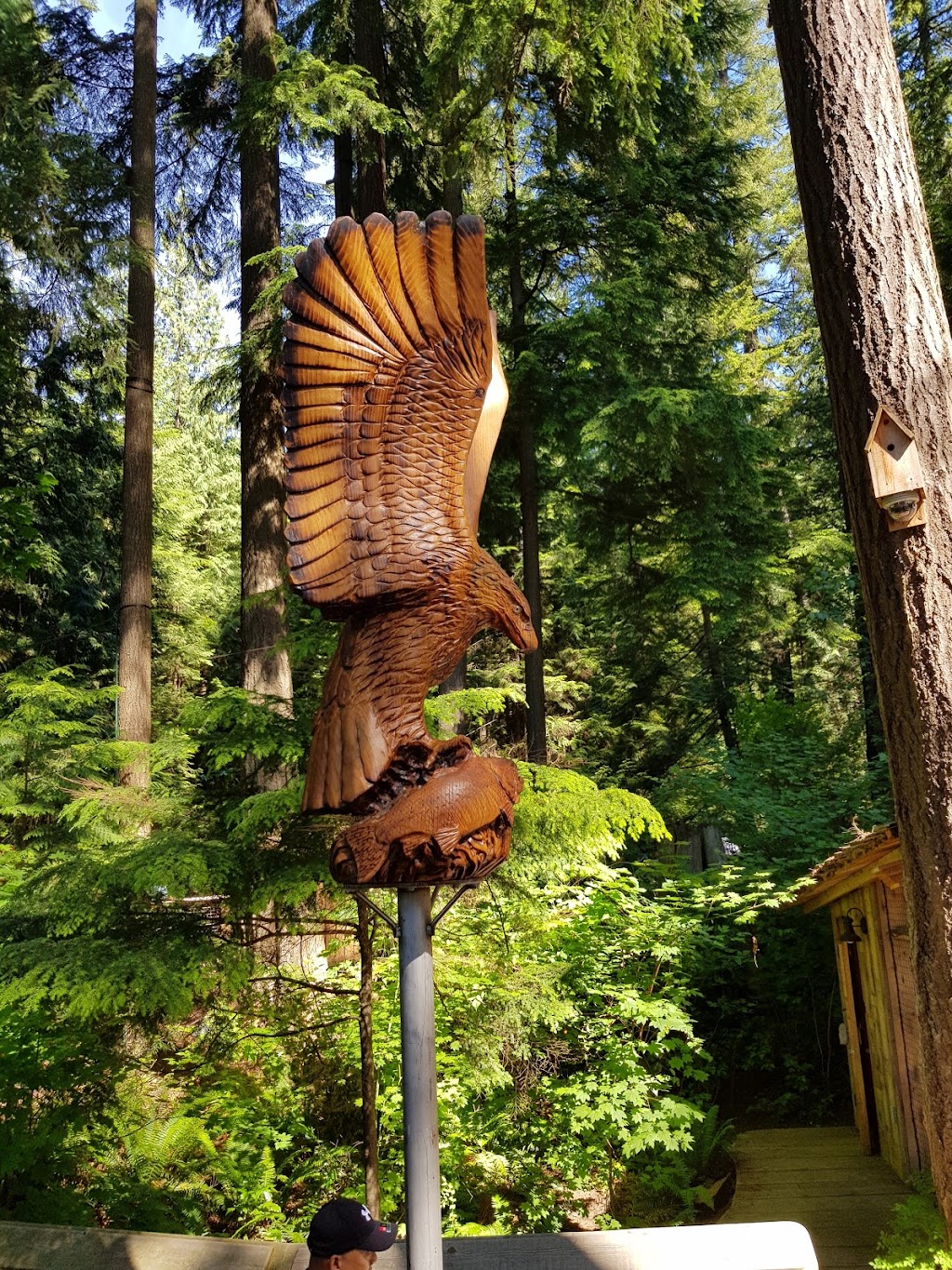 Canyon Manor | 3599 Capilano Rd, North Vancouver, BC V7R 4H9, Canada | Phone: (604) 987-7813