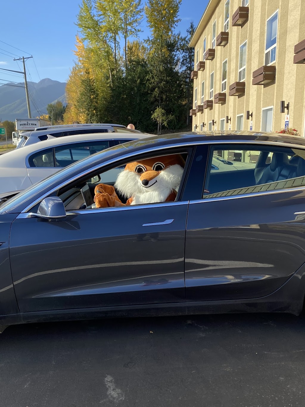 Electric Vehicle Charging Station | 2021 BC-3, Fernie, BC V0B 1M0, Canada | Phone: (877) 447-6788