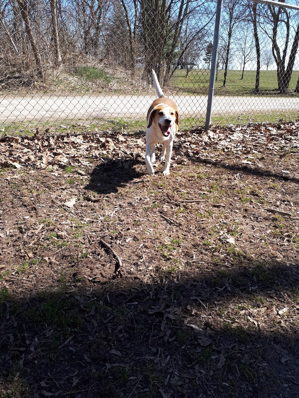 Firemens Park | 2275 Dorchester Rd, Niagara Falls, ON L2E 6S4, Canada | Phone: (905) 371-2099