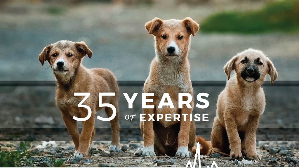 Anderson Animal Hospital | 8465 Granville St, Vancouver, BC V6P 4Z9, Canada | Phone: (604) 263-6767