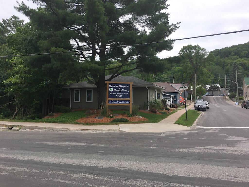 Haliburton Chiropractic | 18 Dysart Ave, Haliburton, ON K0M 1S0, Canada | Phone: (705) 457-3500
