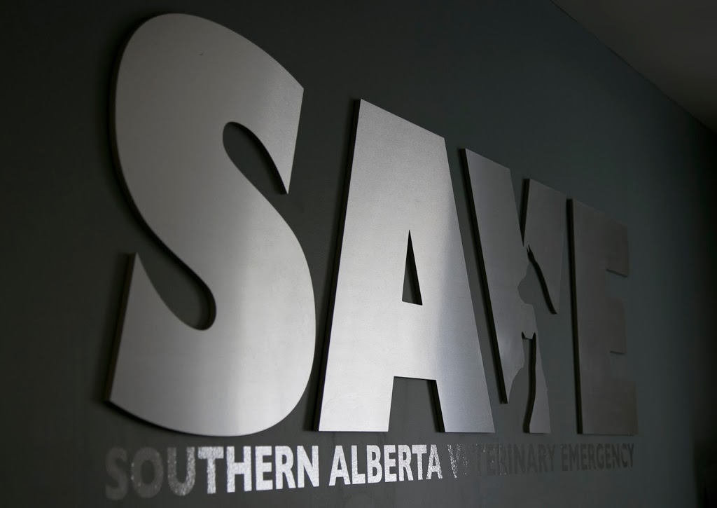 SAVE - Southern Alberta Veterinary Emergency | 322233 15th Street East, Okotoks, AB T1S 1A6, Canada | Phone: (403) 995-3270