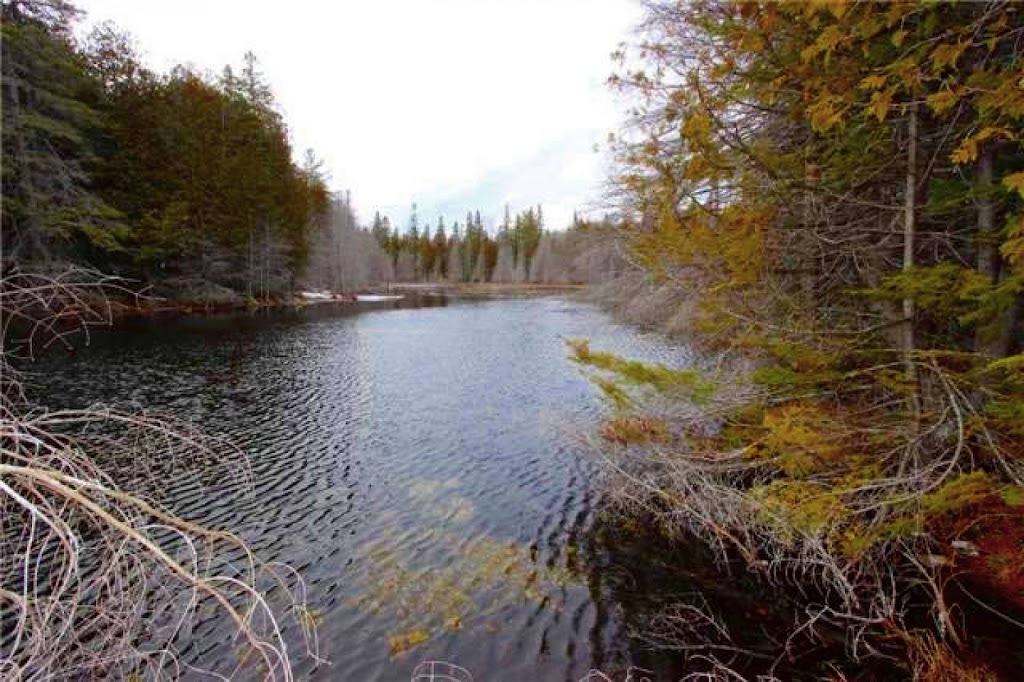 CDN Cottage Rentals | 84 Mary St W #6, Lindsay, ON K9V 5G3, Canada | Phone: (416) 821-7478