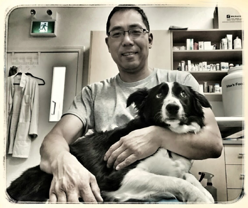 Steeles-Yonge Animal Hospital | 180 Steeles Ave W #15, Thornhill, ON L4J 2L1, Canada | Phone: (905) 597-8387