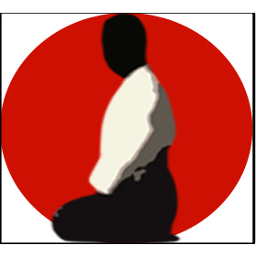 Aikido Durham | 15258 Simcoe Street North, Port Perry, ON L9L 1J8, Canada | Phone: (289) 638-6161
