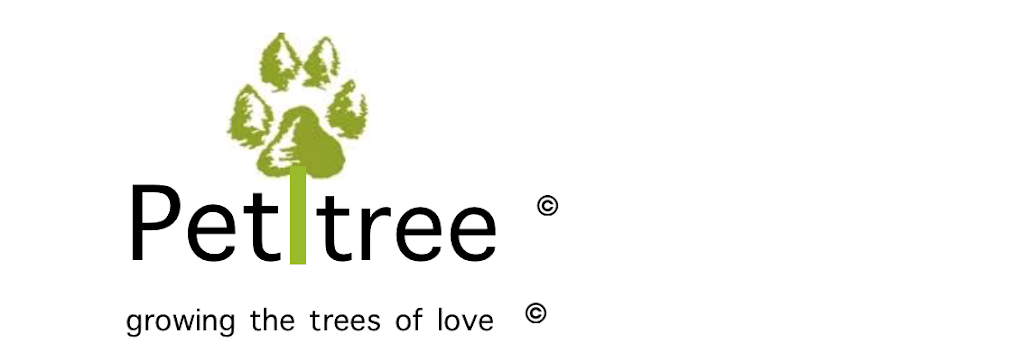 Petitree | 404 Palmerston Blvd Suite 3, Toronto, ON M6G 2N8, Canada | Phone: (416) 732-2186