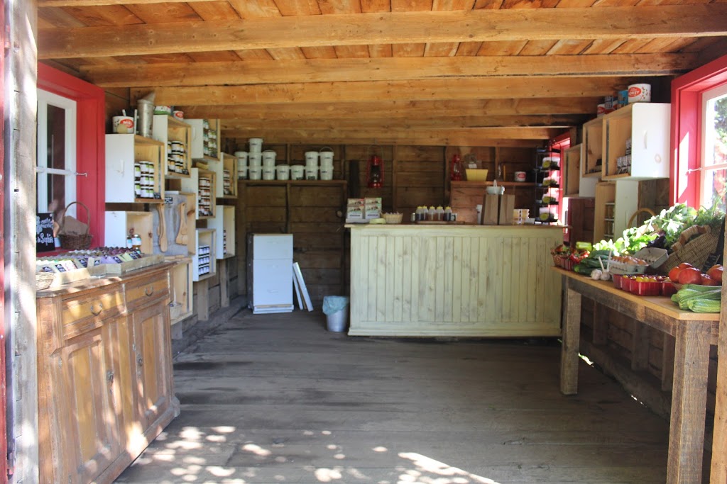 Le petit rucher du Nord | 362 QC-323, Brébeuf, QC J0T 1B0, Canada | Phone: (819) 421-1858