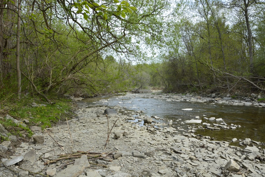 Etobicoke Valley Park | 615 Horner Ave, Etobicoke, ON M8W 2E1, Canada | Phone: (416) 393-4636