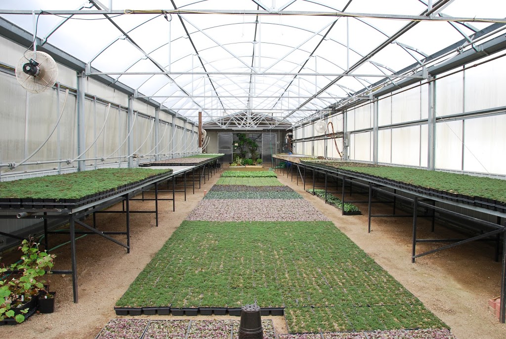 Ground Covers Unlimited | 1045 Porter Rd, Bethany, ON L0A 1A0, Canada | Phone: (705) 277-3005