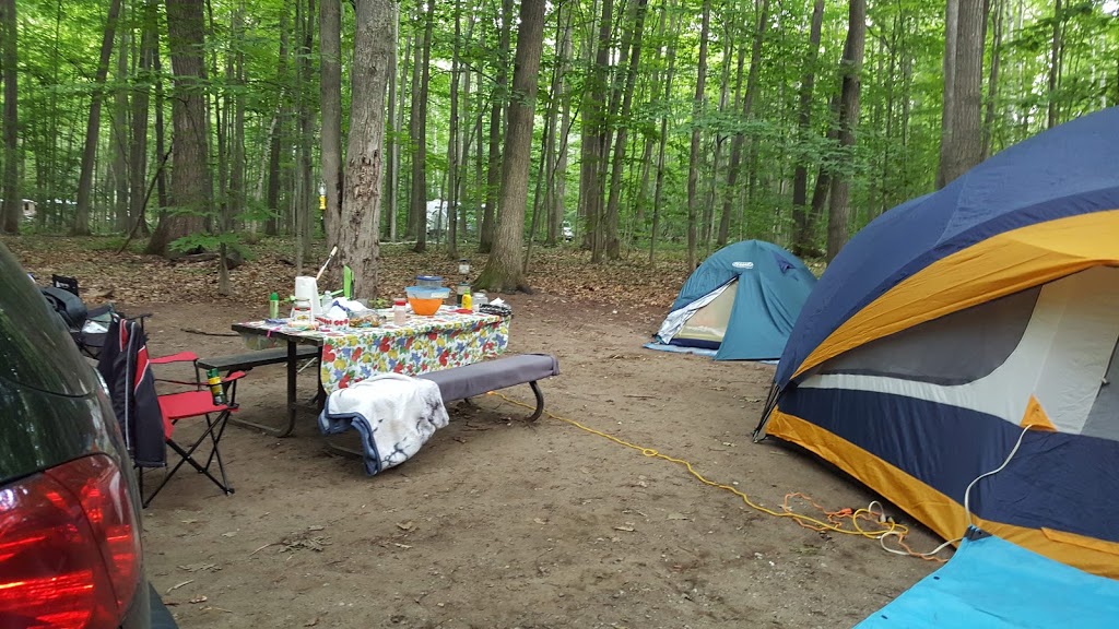 Hawk Campground | Tiny, ON L9M 1R2, Canada | Phone: (800) 668-2746