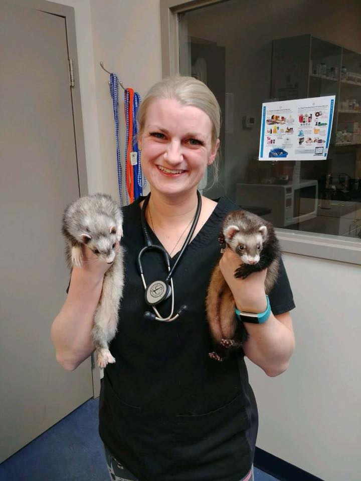 West Springs Veterinary Hospital | 917 85 St SW, Calgary, AB T3H 5Z9, Canada | Phone: (403) 249-7387