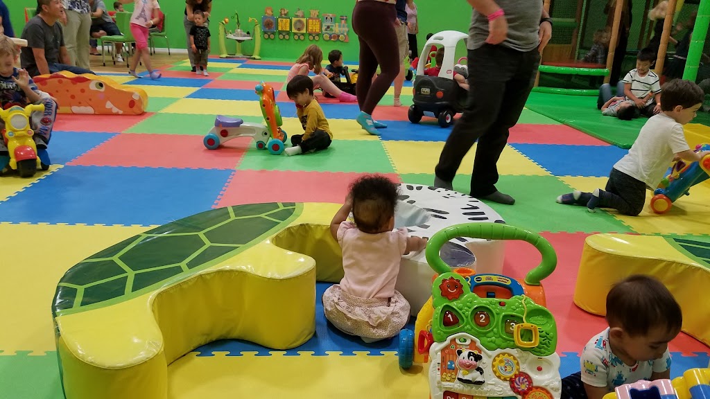 Jungle Land | 1033 Edgeley Blvd, Concord, ON L4K 0B9, Canada | Phone: (905) 760-5565
