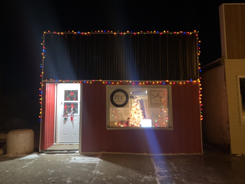 Tendler Loving Care Esthetics & Element 47 Hair Studio | 121 Main St, Bengough, SK S0C 0K0, Canada | Phone: (306) 268-8885