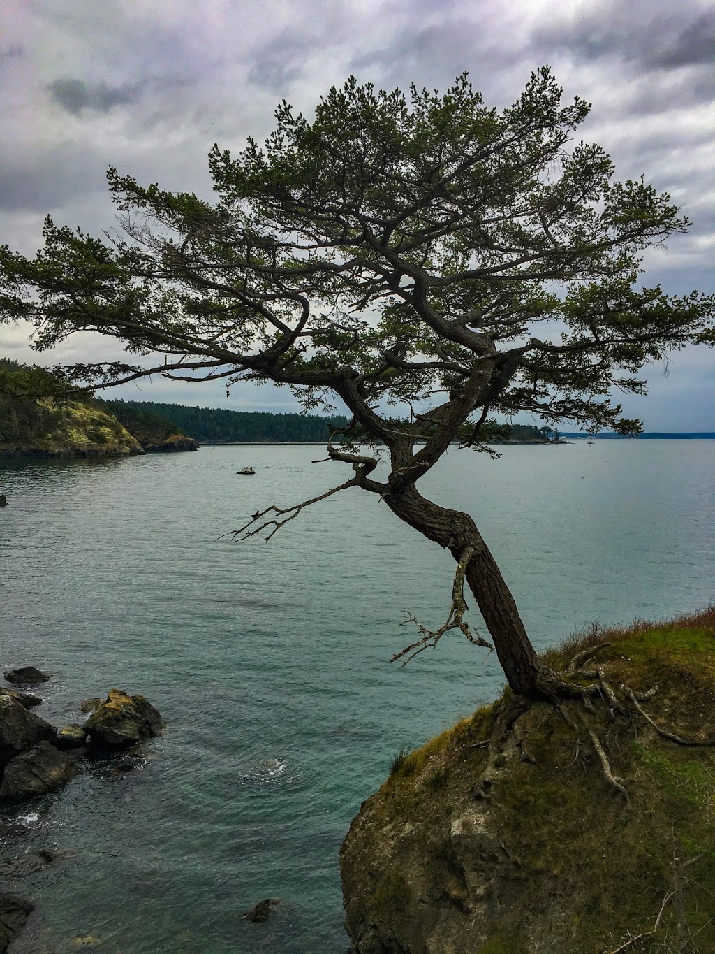 Bowman Bay, Deception Pass State Park | 41020 WA-20, Oak Harbor, WA 98277, USA | Phone: (360) 675-3767