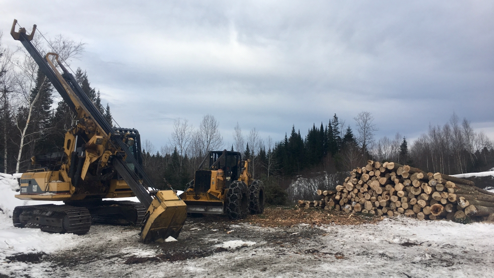 Entreprises Forestières Dubé inc. | 1665 QC-141, Saint-Herménégilde, QC J0B 2W0, Canada | Phone: (819) 849-1031