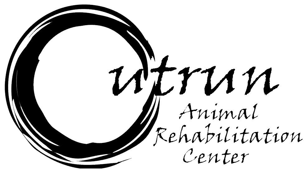 Outrun Animal Rescue and Rehabilitation Center | 998089 Mulmur Tosorontio Townline, Lisle, ON L0M 1M0, Canada | Phone: (705) 717-2761