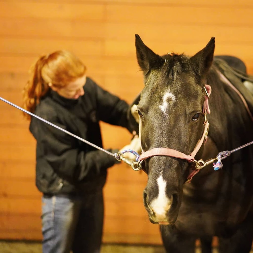 Poplar Lane Farm | 6309 Old East Rd, Victoria, BC V8Y 1R7, Canada | Phone: (250) 516-6618