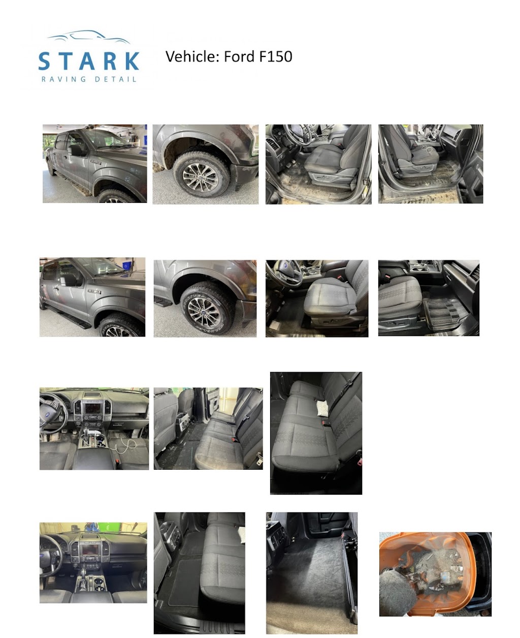 Stark Raving Detail | 1702 County Rd 3, Carrying Place, ON K0K 1L0, Canada | Phone: (613) 661-9095