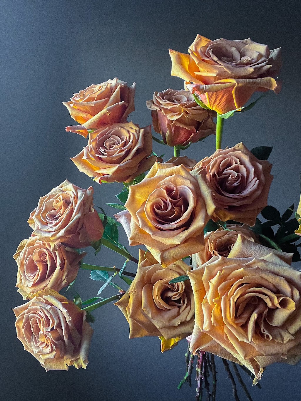 Paeonia Boutique | 400 Carleton Ave, Vancouver, BC V5C 6P6, Canada | Phone: (778) 903-2532
