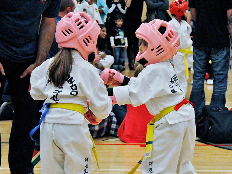 Woodbridge Taekwon-Do Inc. | 5732 Highway 7 Unit 1, Woodbridge, ON L4L 3A2, Canada | Phone: (905) 851-1797
