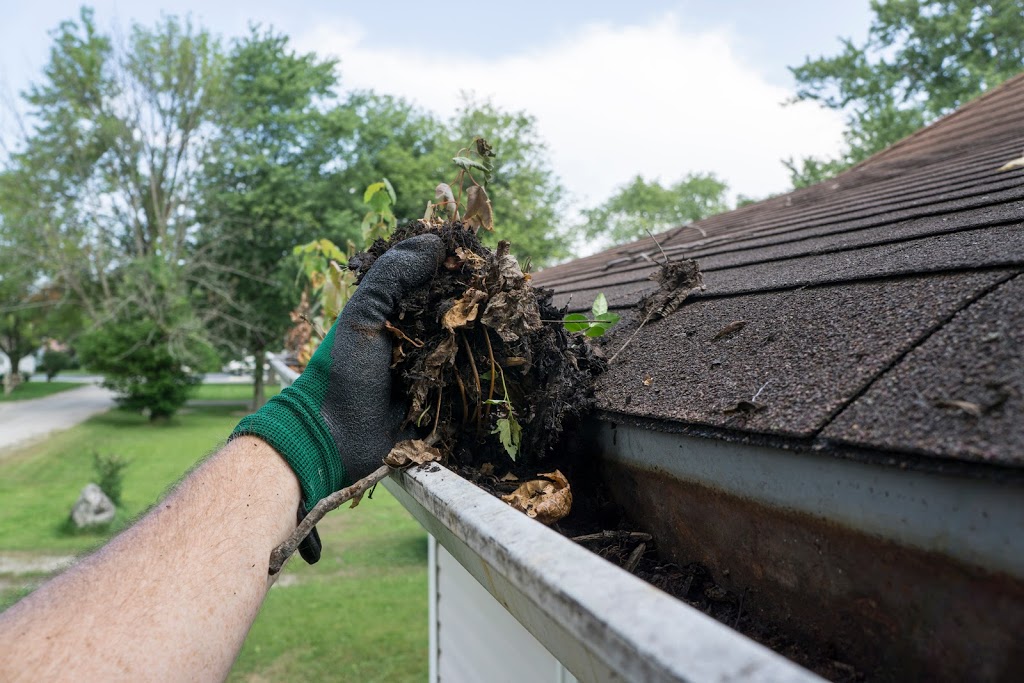 Zimco Property Services - Power Washing Experts | 22031 Selkirk Ave, Maple Ridge, BC V2X 2W9, Canada | Phone: (604) 762-4418
