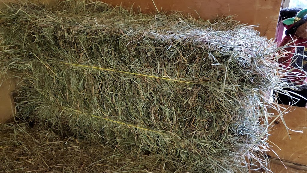 Red Barn Hay Company | 6867 Lickman Rd, Chilliwack, BC V2R 4A9, Canada | Phone: (604) 316-1199