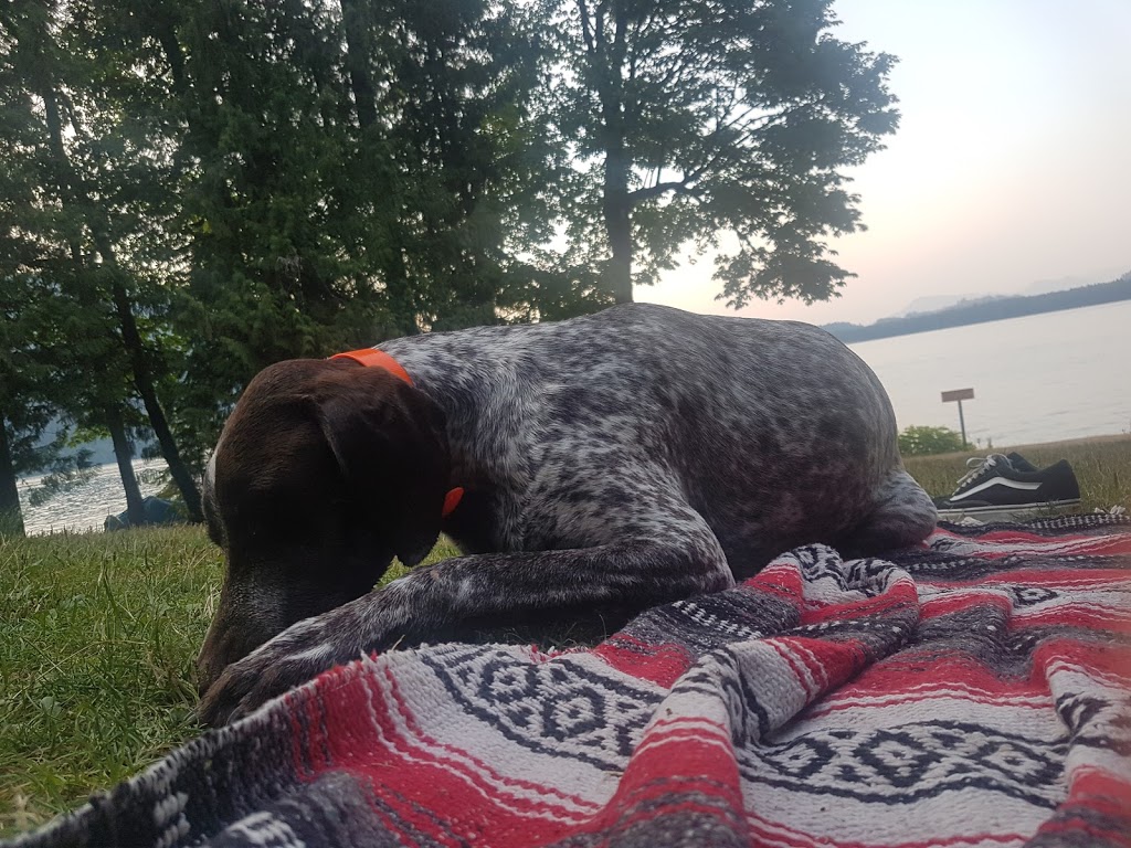 Cultus Lake Honeymoon Bay Group Camp Site | Columbia Valley Rd, Cultus Lake, BC V2R 5A3, Canada | Phone: (604) 986-9371