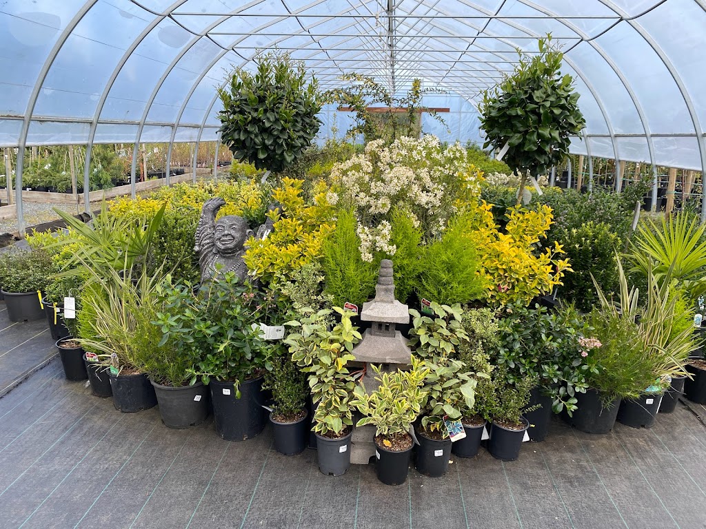 Paradise Plants Garden Centre | 2480 Hardy Rd, Courtenay, BC V9J 1T2, Canada | Phone: (250) 897-3898