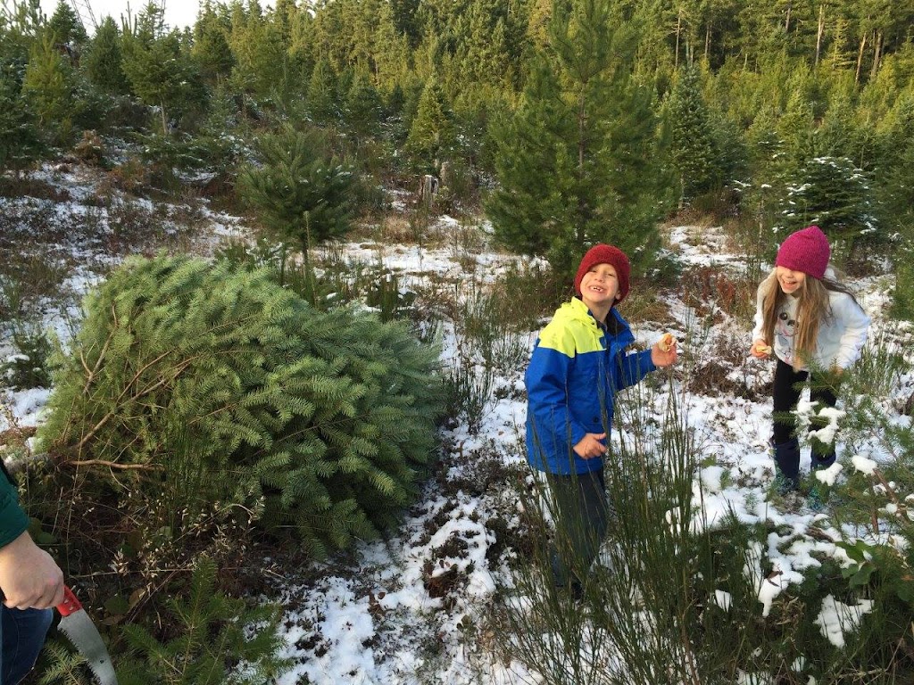 Toms Trees | Airport Rd, Port Alberni, BC V9Y 8Y9, Canada | Phone: (250) 720-6214